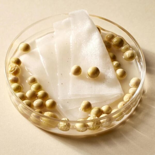 Soybean Milk Pad Set | 30 Pads - Mixsoon