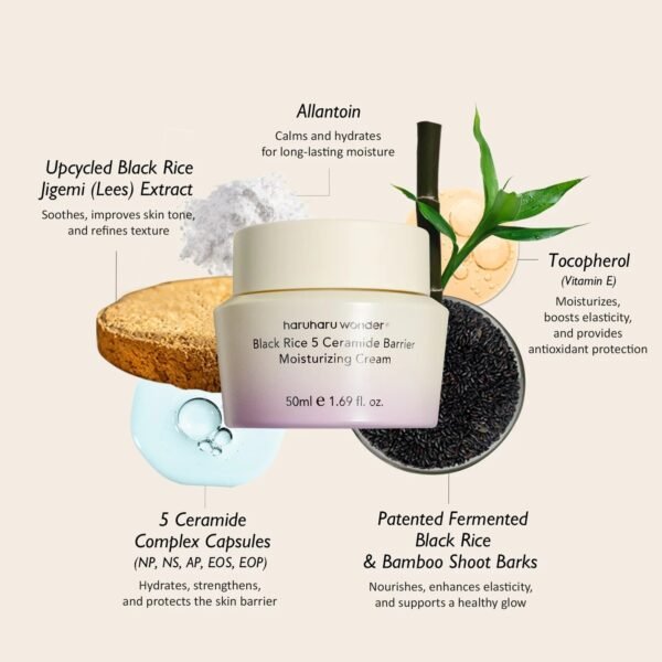 Black Rice 5 Ceramide Barrier Moisturizing Cream 50ml - HaruHaru Wonder