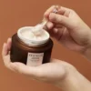bareskin_product_skin1004probioc2.webp Centella Probio-Cica Enrich Cream 50ml - SKIN1004